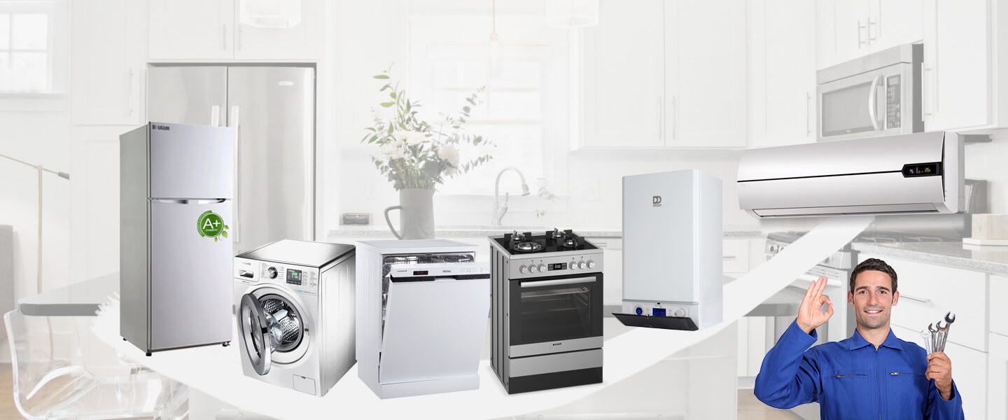 Germiyan Smeg Servisi
